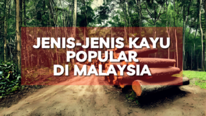 Jenis Kayu Popular di Malaysia